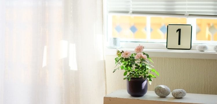 リビングスタイリストがお部屋の模様替えを提案します あなたの理想のライフスタイルに合う「インテリア」をアドバイス イメージ2