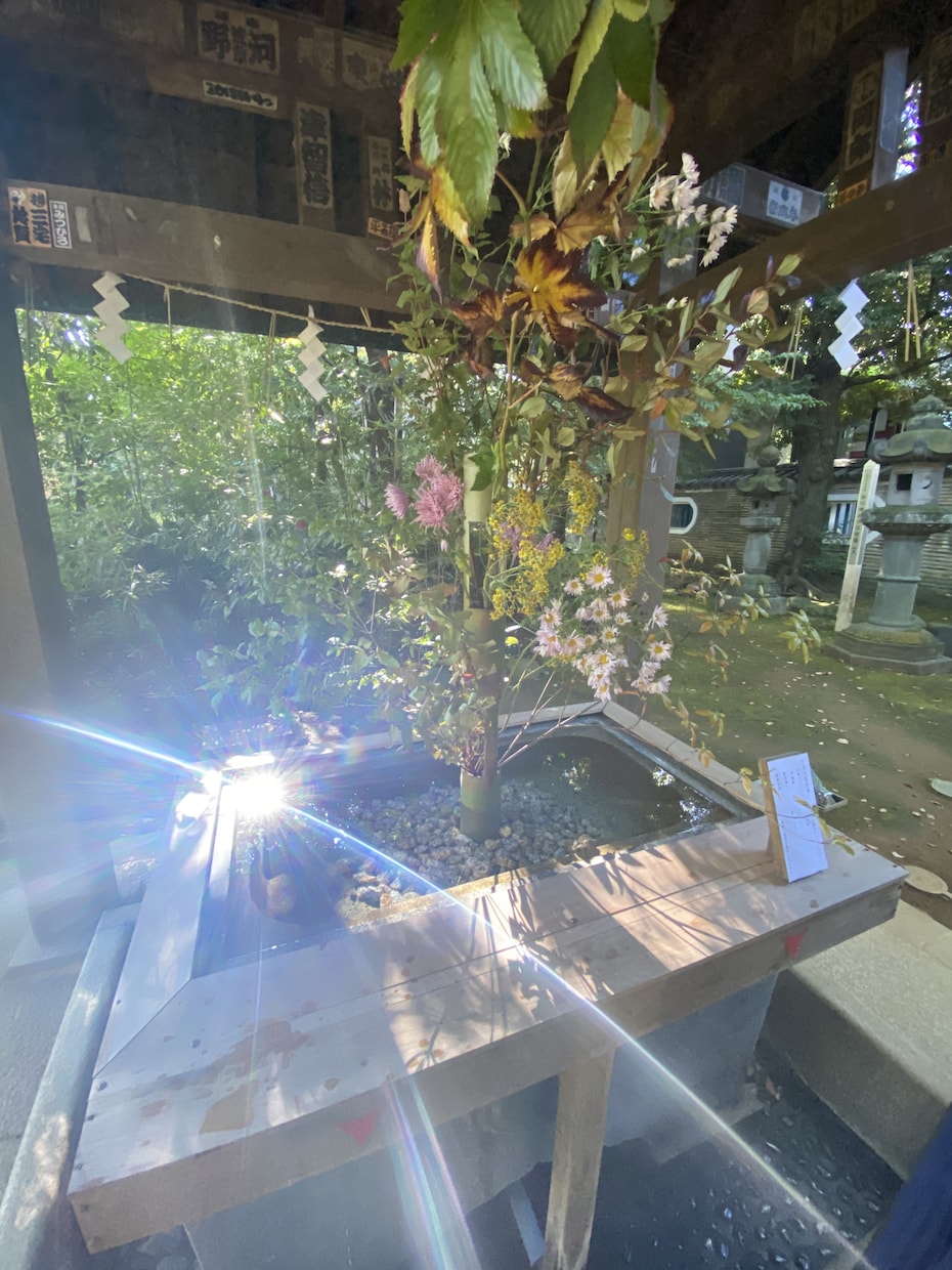 西洋占星術、タロットオラクル占い、ヒーリングします 年収4000万円の師直伝！国家資格カウンセラー資格で寄り添う イメージ1