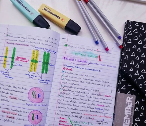 成績が上がる正しい勉強法！最適な学習法を教えます あなたに合った効率重視の正しい勉強法をコンサルします！ イメージ1