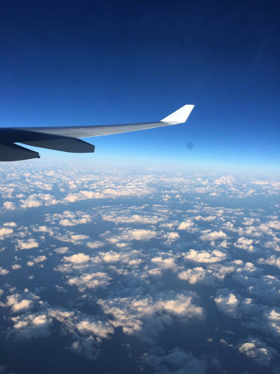 ワーホリ、旅行計画の相談のります 南オーストラリアの現地情報をお届け イメージ1