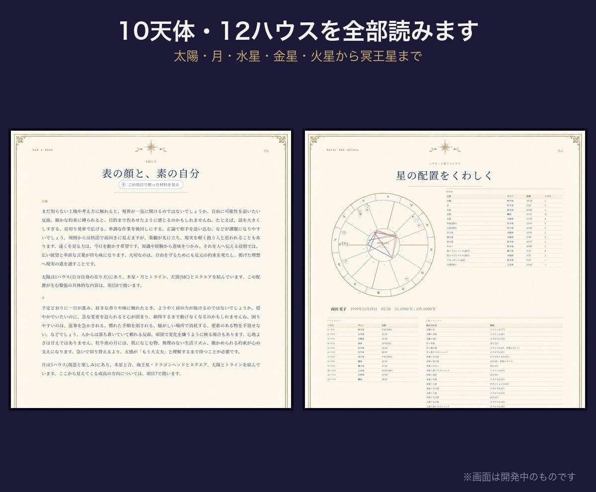 西洋占星術のホロスコープ／鑑定書ツールを提供します ハウス・アスペクト・年運・相性も自動。文章は書き換え可 イメージ8