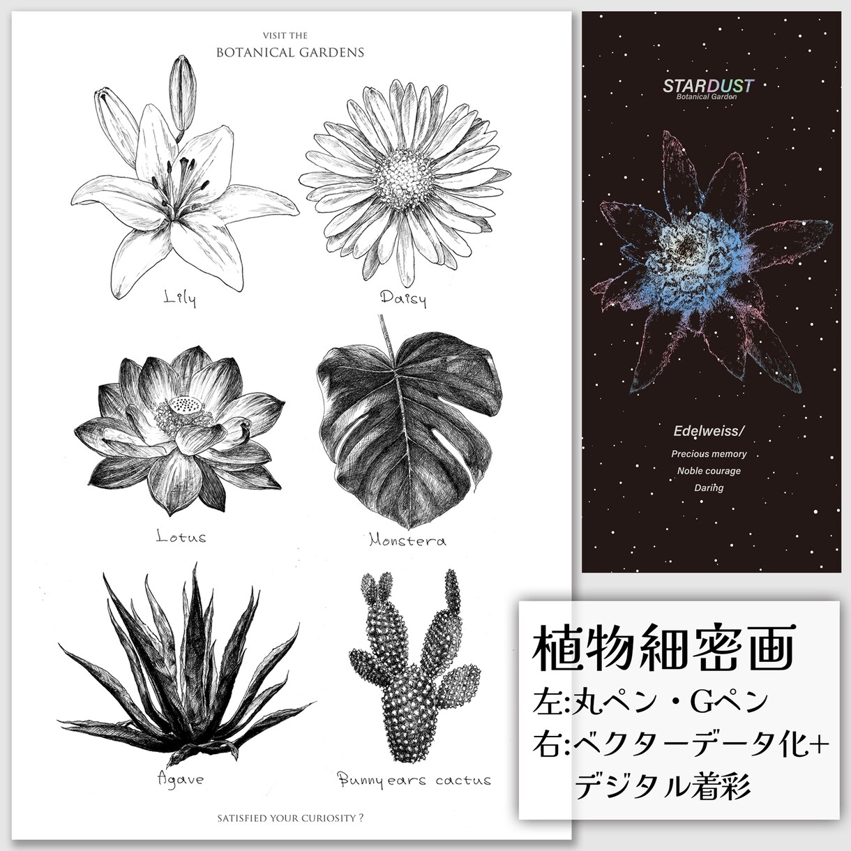 繊細な線画や水彩画を描きます 高品質を印象付ける繊細なタッチが希望の方へ イメージ5