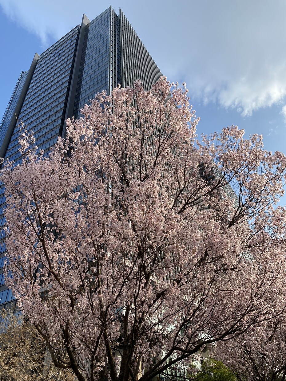 女性限定☆成婚退会した私が婚活の愚痴お聞きします 婚活奮闘中の皆様!頑張っててすごいです!お疲れ様です! イメージ5