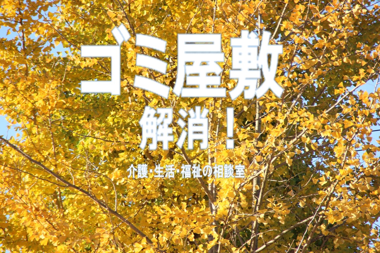 社会福祉士の相談室◇生活・福祉の相談をお受けします ◆高齢者・生活・認知症・ゴミ屋敷・老化防止・終活・子育て相談 イメージ2