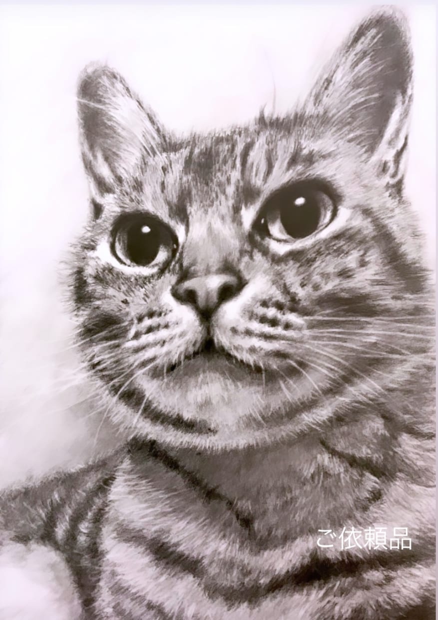 鉛筆で人物や愛犬愛猫などリアルな似顔絵を描きます 鉛筆ならではのあたたかい雰囲気を表現します イメージ5