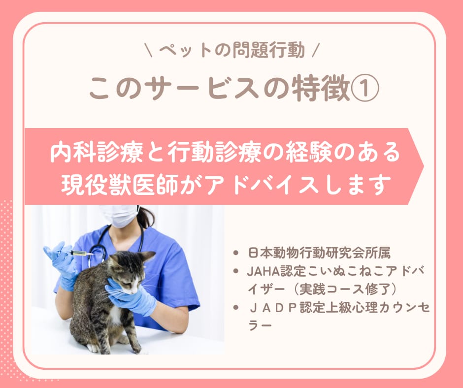 行動専門獣医師が犬猫オンラインしつけ相談します 顔出しなしOK│犬猫のしつけから問題行動まで相談できます イメージ3