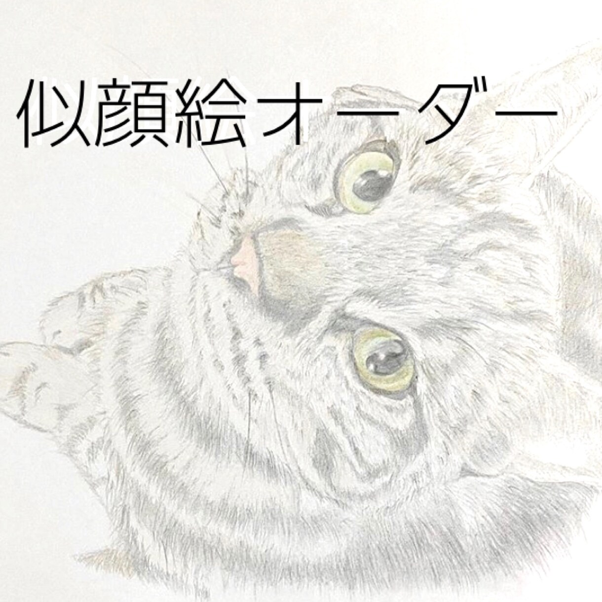 ペット肖像画を描きます ペットが愛しくてたまらない方へ。最低価格で最高の思い出を♩ イメージ1