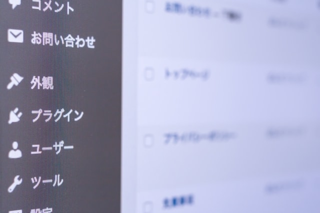 ワードプレスでのブログの開設方法を教えます アドセンスの審査はオリジナルブログがなければ審査に通りません イメージ2