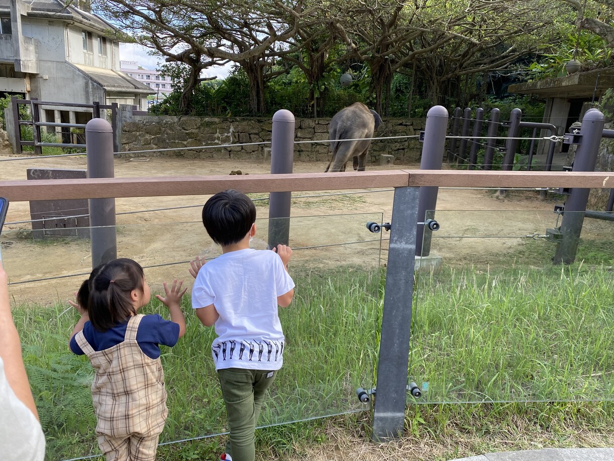 どんな相談でも承ります 人、仕事、お金、恋愛なんでもご相談ください！ イメージ4