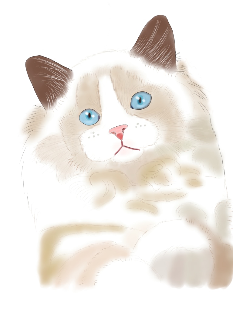 あなたの大切なペットの絵を描きます ペットの写真をゆるふわなイラストにしませんか？ イメージ2