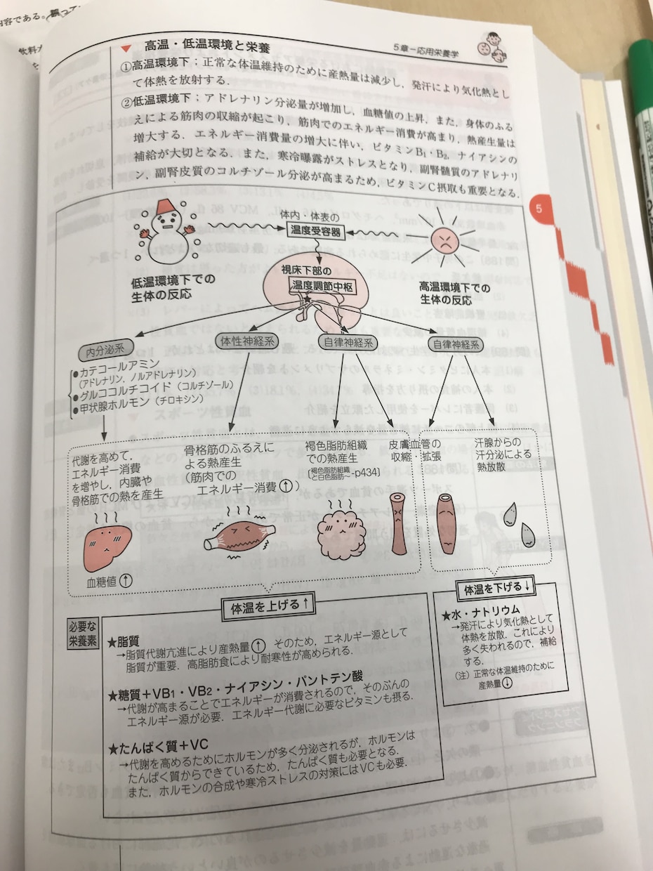 管理栄養士国家資格の受かる勉強方法教えます 100%合格を出した勉強法やれば受かる！ イメージ2