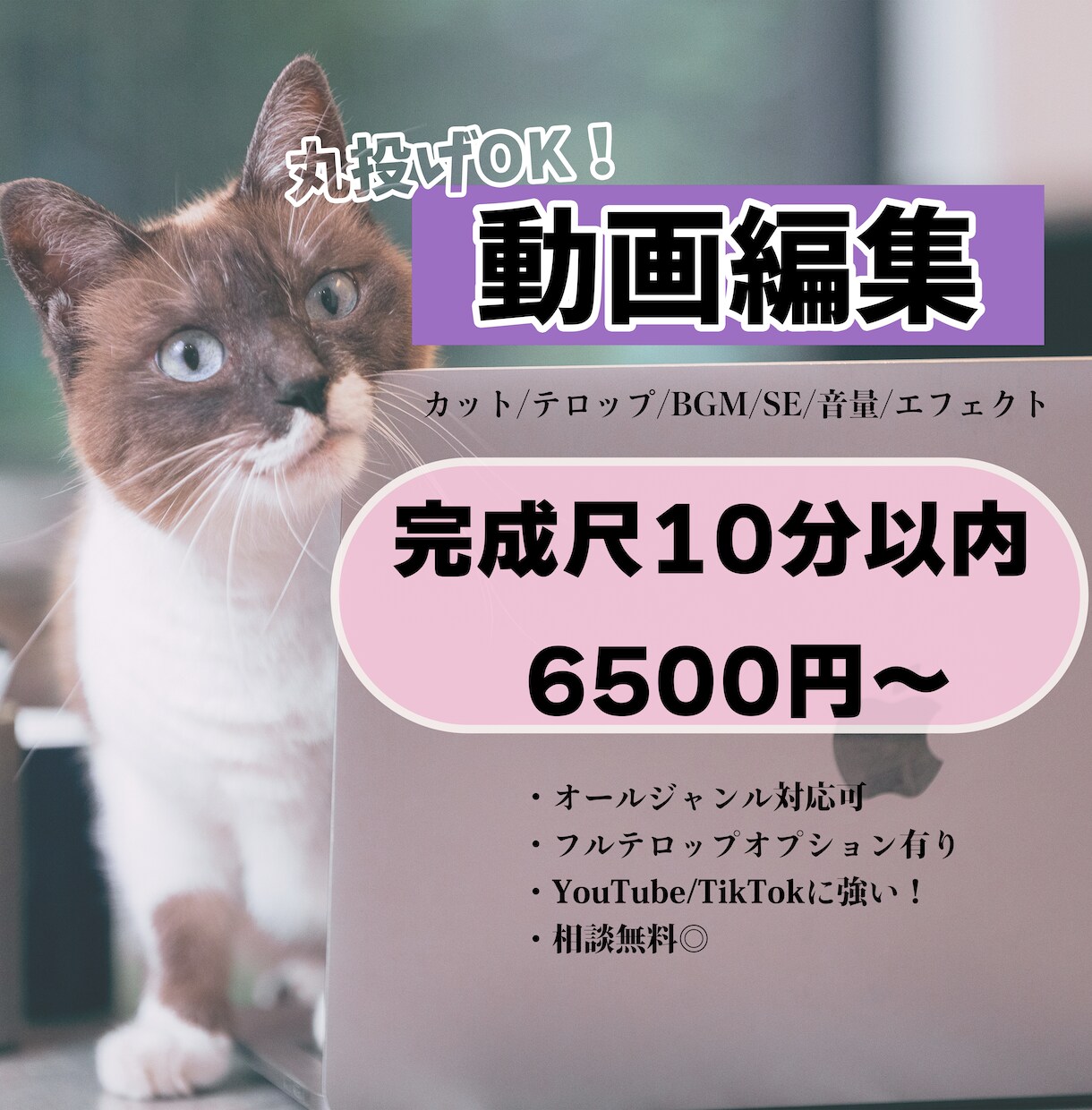 動画編集いたします あなたの動画をもっと面白く！可愛く！かっこよく！ イメージ1
