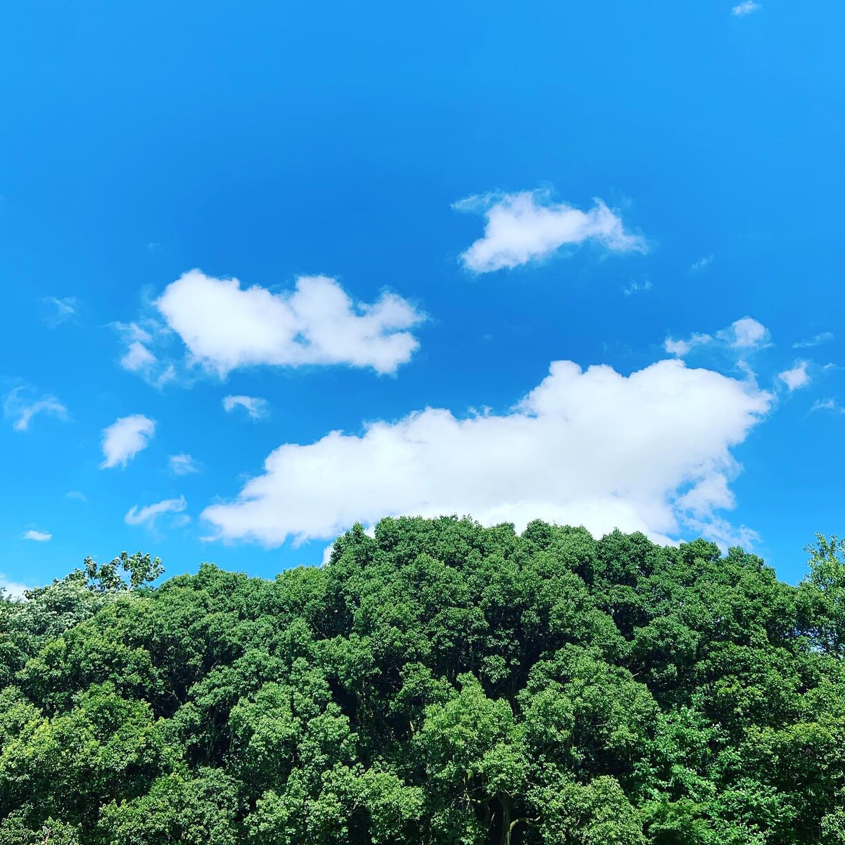 サレ妻の悩み聞きます サレ妻さん1人で悩まないでください。私も経験あります。 イメージ1