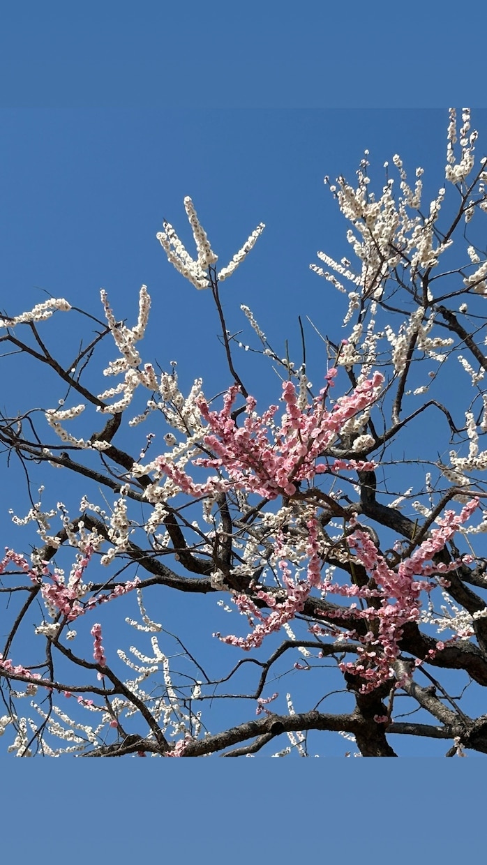 恋愛のお悩み、お伺いします ♪楽しい恋愛ができるよう、一緒に考えていきましょう♪ イメージ5