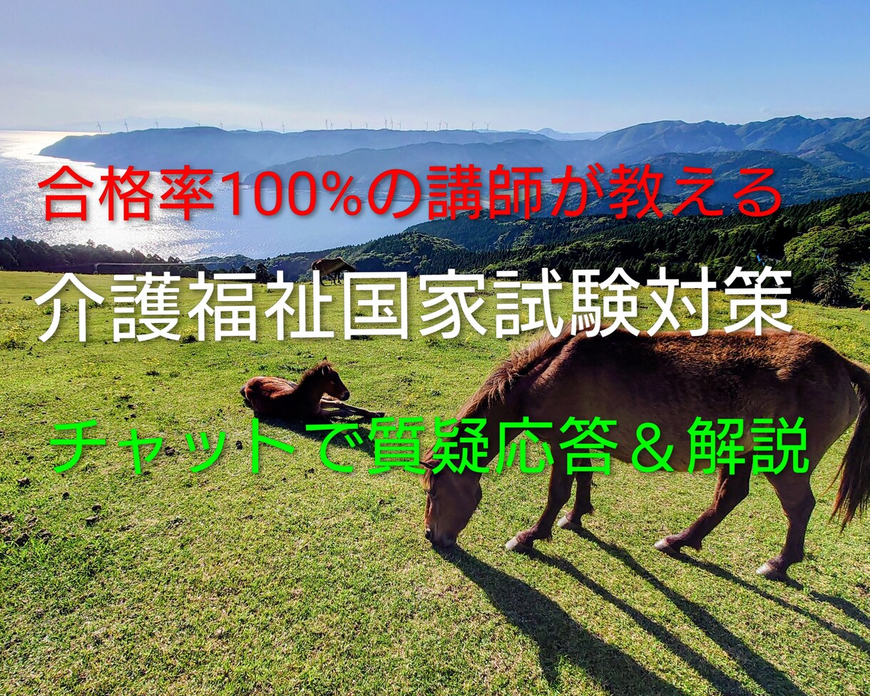 介護福祉士国家試験対策をチャットで行います 分からない問題の質疑応答をチャットで対応！合格までサポート！ イメージ1