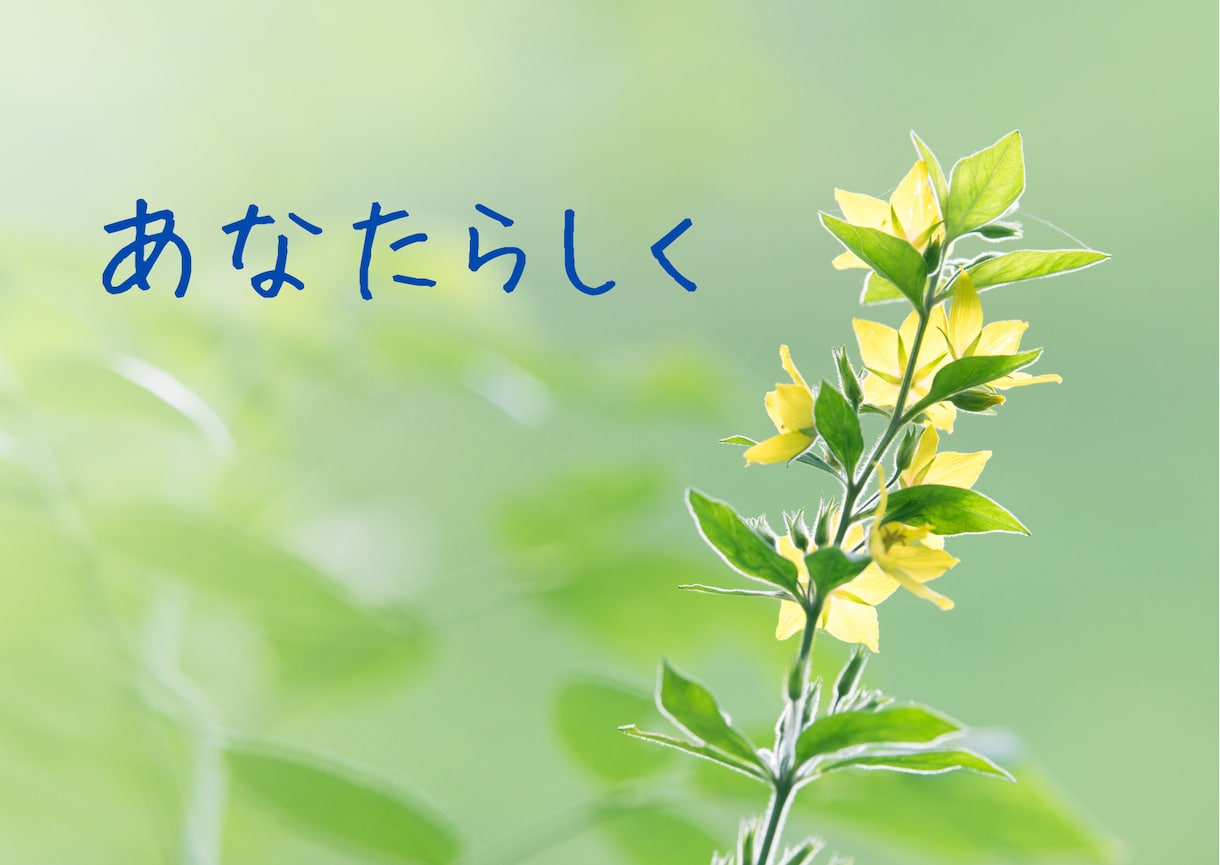 7日間チャット✨元教員が子育てのご相談に乗ります 発達障害/学習障害/不登校/行き渋り/思春期/進路/親子関係 イメージ8
