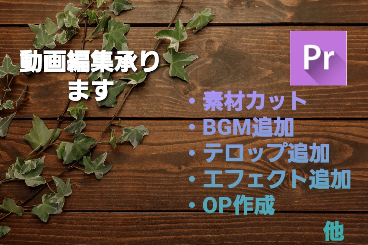 youtube等の動画編集・テロップ入れ承ります ご希望の動画となるよう修正料金何回でも無料 イメージ1