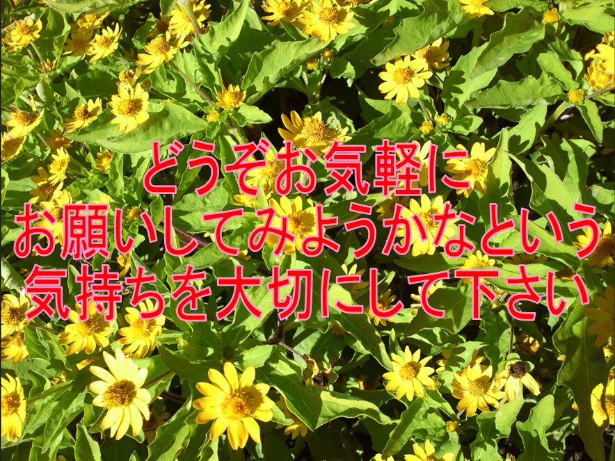 復縁☯引寄せ☯など希望の深い愛をあなたに近づけます ☯少ない情報でも易占可能☯あなたは理想の愛の道へと歩みます イメージ8