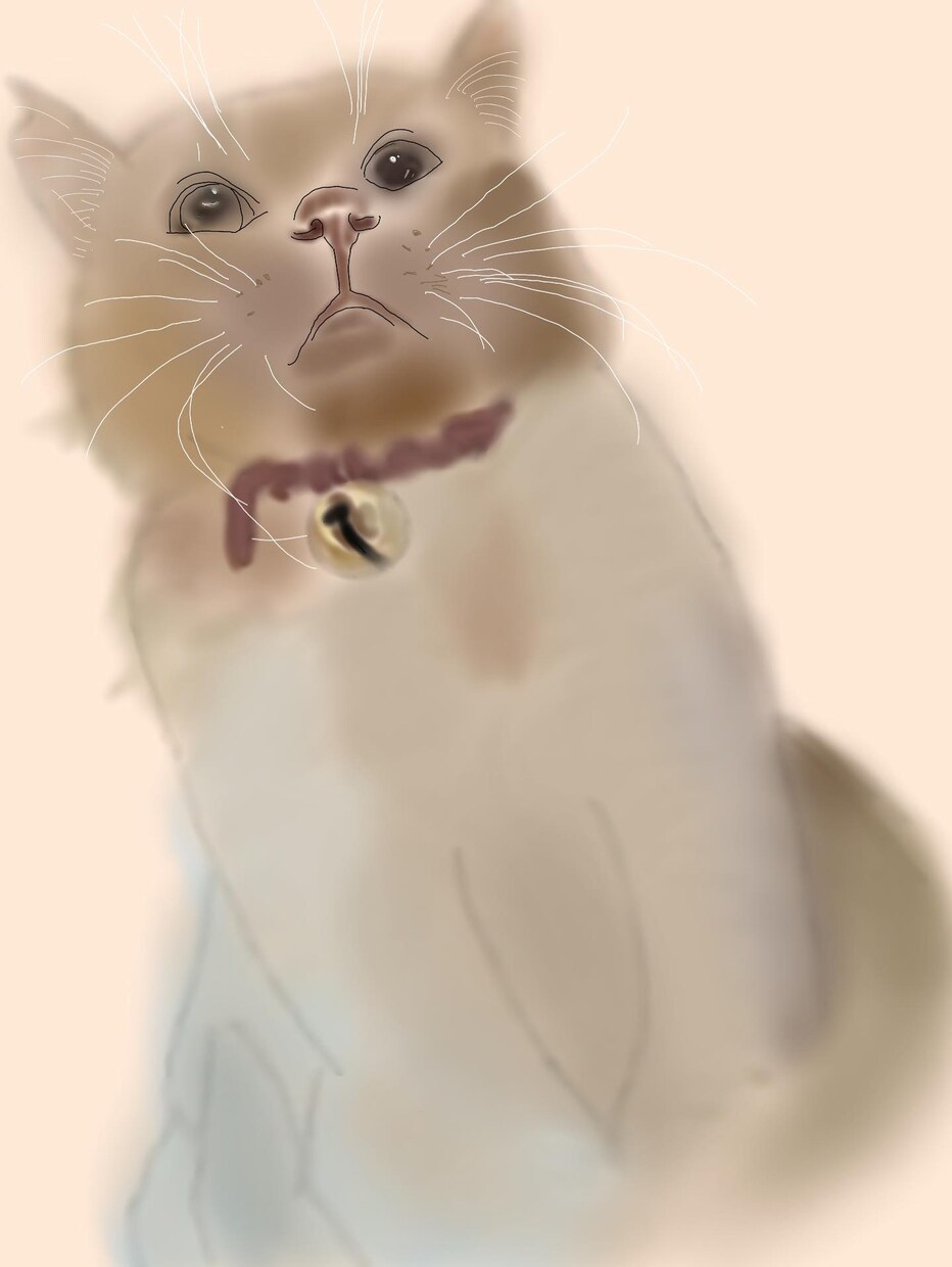 やさしい手描き風のペットイラスト描きます 大切なペットをふんわり可愛く描きます イメージ3