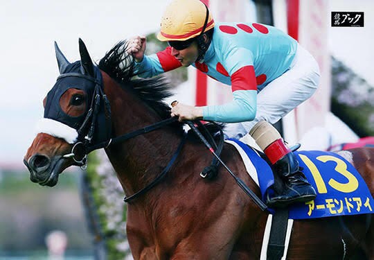 中央競馬の重賞で自信のある馬教えます 競馬歴10年で得た経験から渾身の自信ある馬紹介します！！ イメージ1