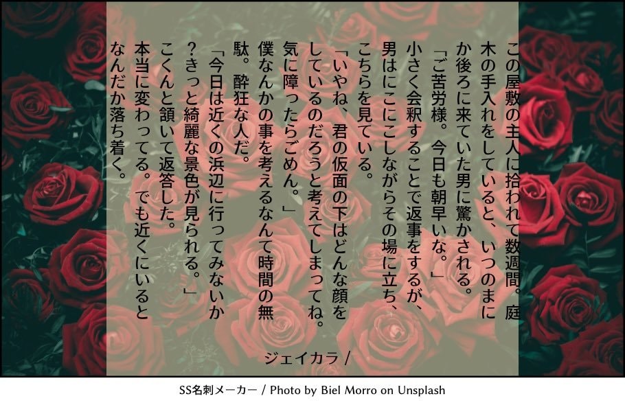 SS名刺メーカーで色々書きます あなたの妄想、形にしませんか？ イメージ1