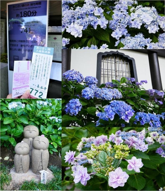 日常の些細な事、悩み、何でもお聞きします 心の中の((もやもや))をお話しください。 イメージ4