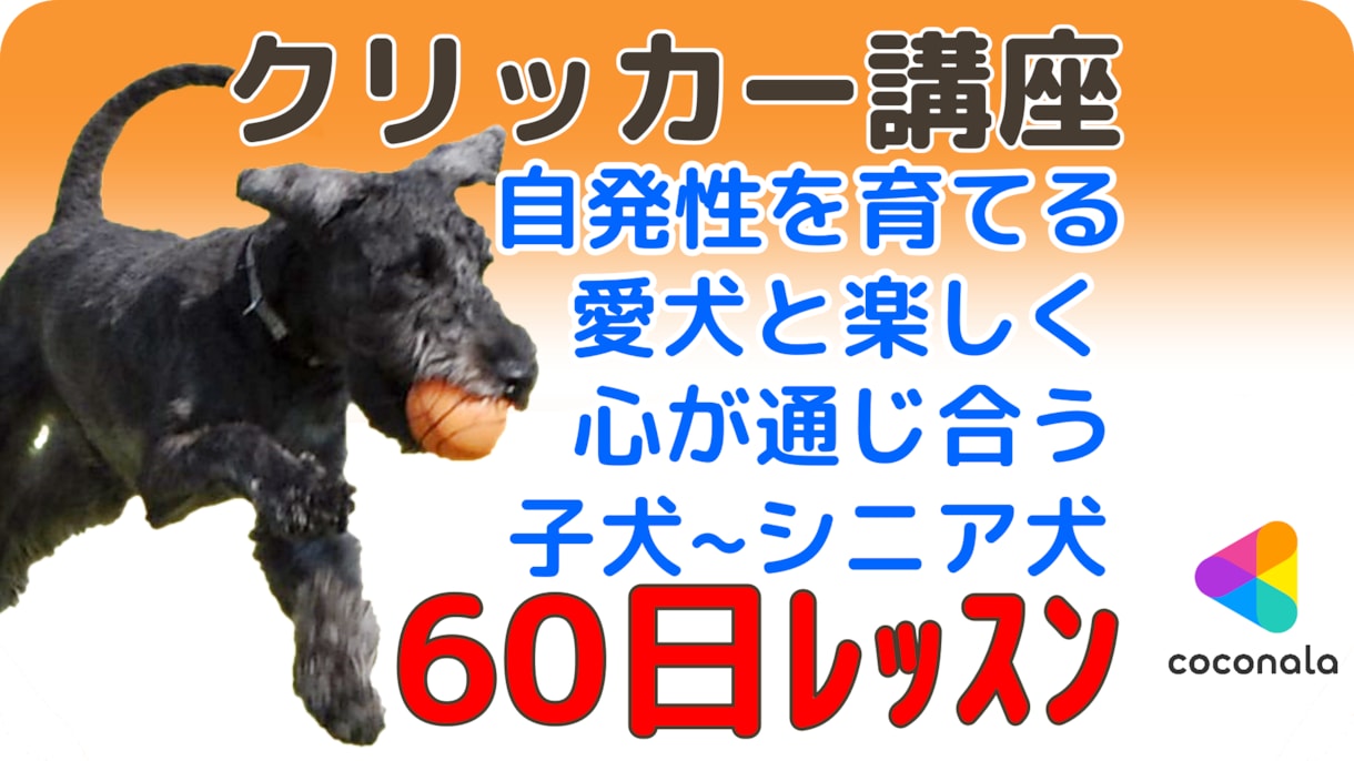 愛犬クリッカー講座！60日で基礎が学べます 【お試しあり】ゲーム感覚で愛犬と楽しくトレーニング♪ イメージ1