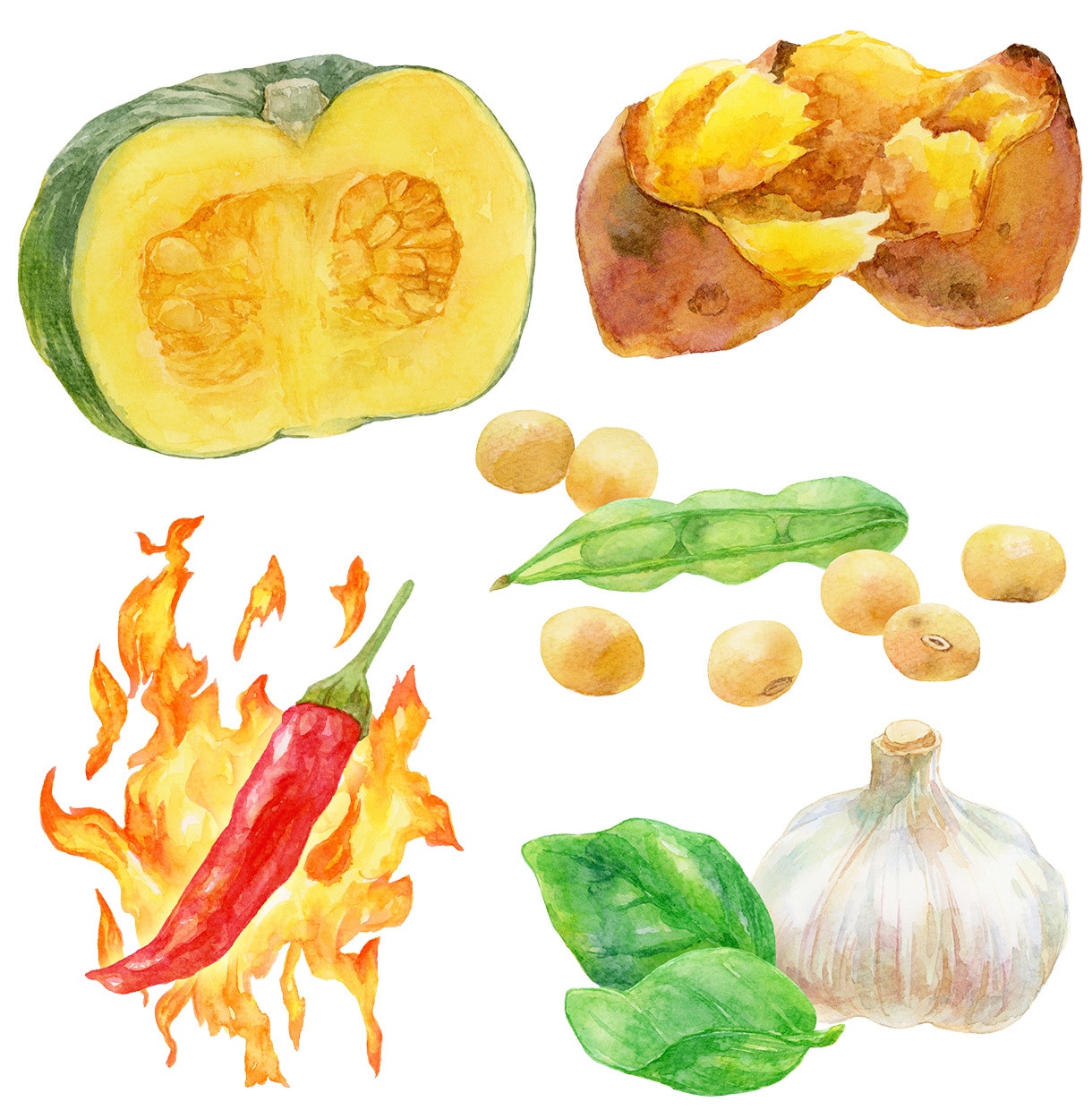 商用◎水彩で野菜・フルーツのイラストを描きます 構図から提案も可。カラーラフ修正無制限、ヒアリングが得意です イメージ9