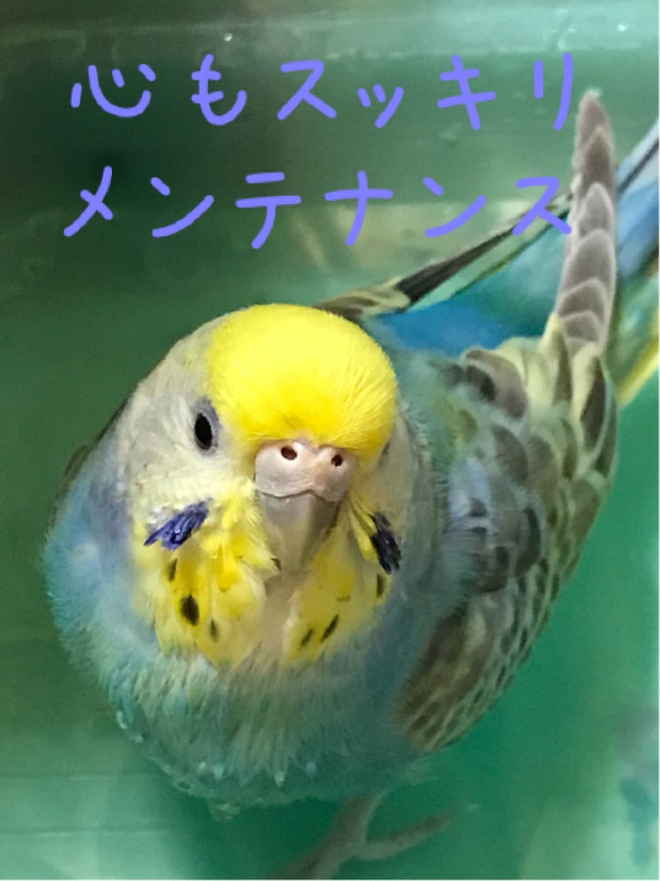 5分からOKフリートークします ちょっと人と話したい。なんか暇。どんなお話しでもOK5分～ イメージ4