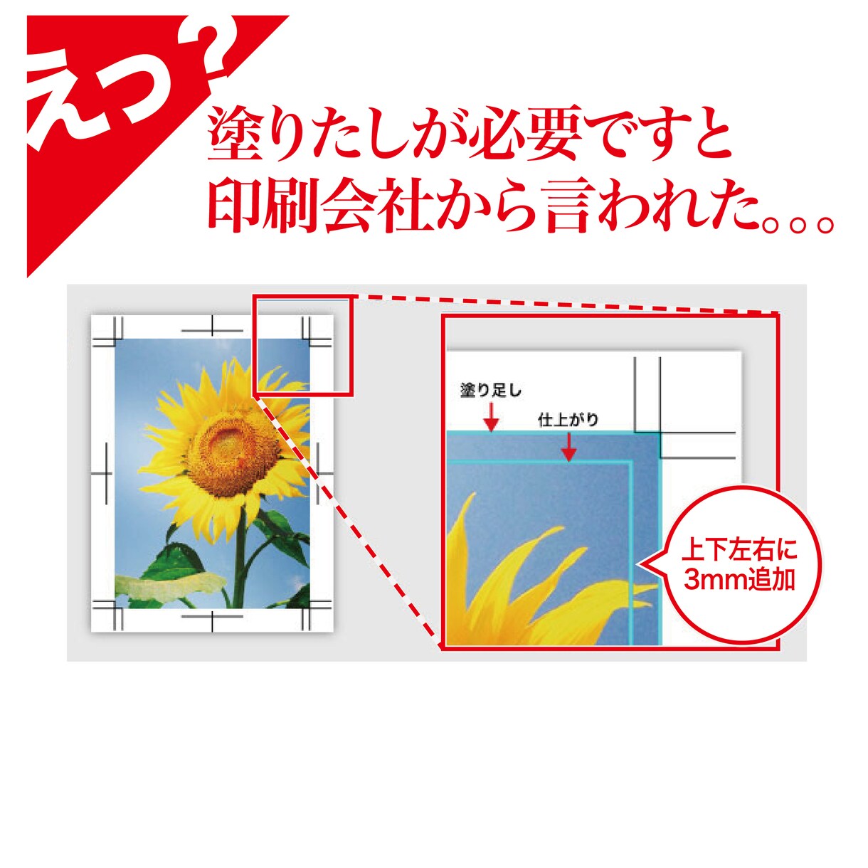 こまかい【イラレの文字、色変更など】修正いたします こまかい修正まるっとおまかせください イメージ2