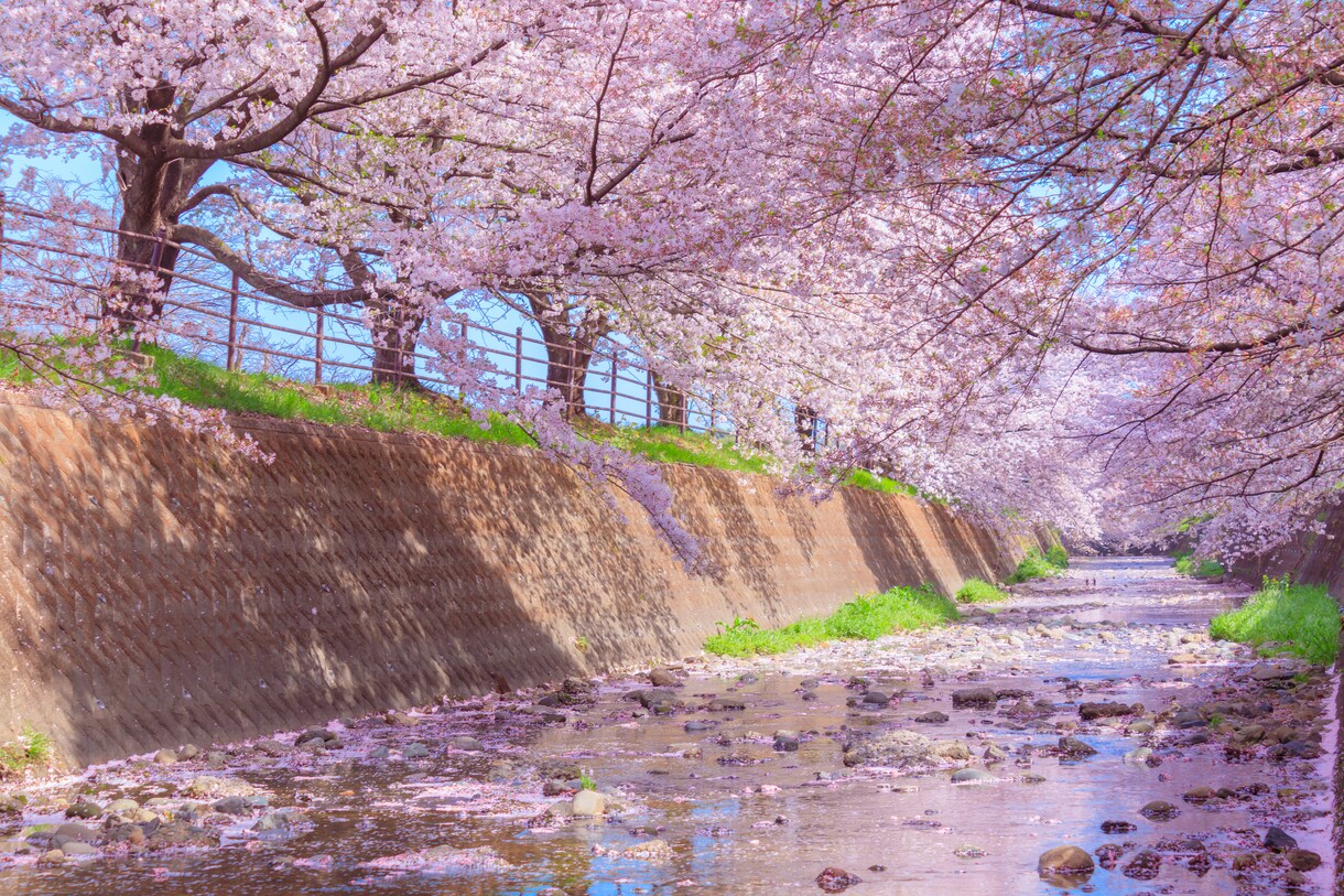 色々な場所の風景や物の写真撮影を代行します まだ駆け出しのカメラマンなのでお安く提供します！ イメージ3