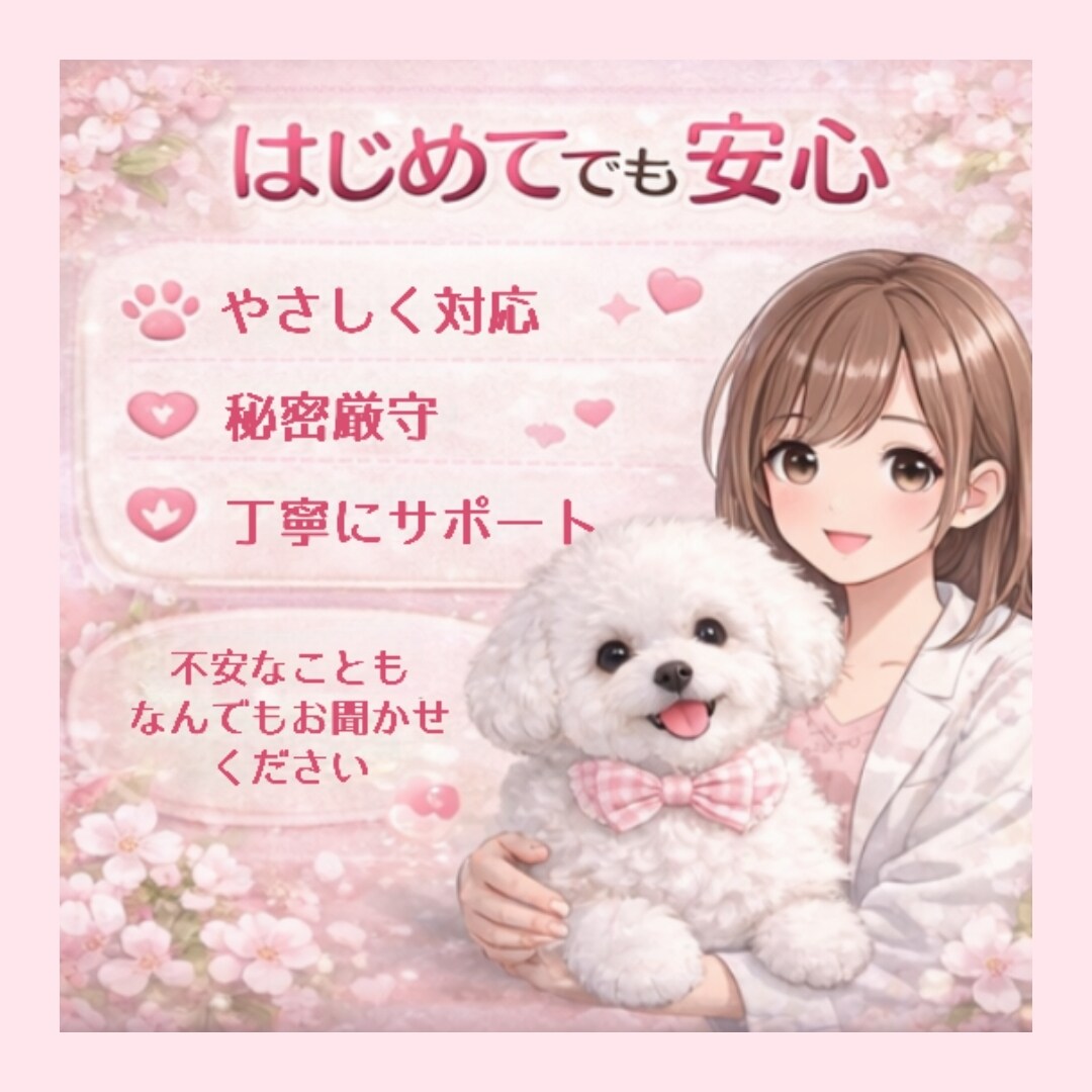 涙やけの原因と対策、丁寧にお伝えします 原因からケア方法まで丁寧にサポート イメージ4
