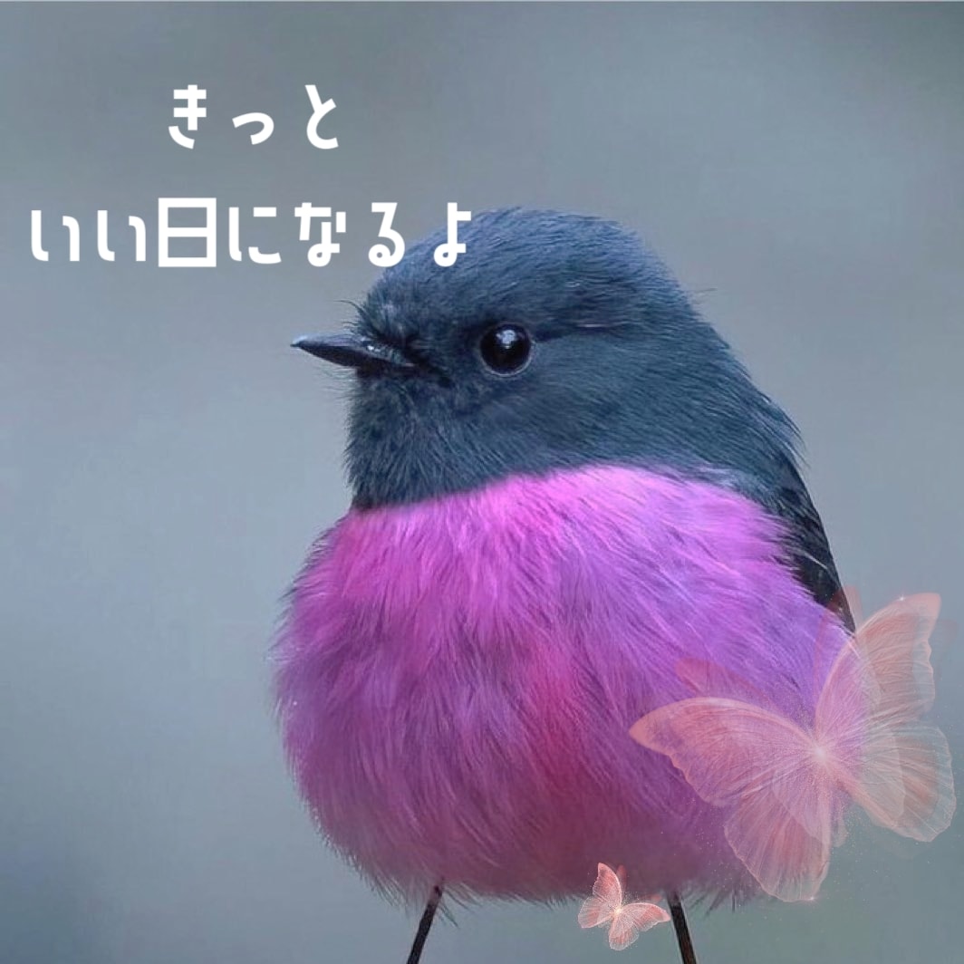 終わらない秘密の関係。とことんお話聞きます 2人の関係を何も知らないからこそ話せる話がある。 イメージ9