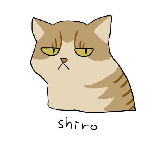 猫ちゃん犬ちゃん描きます みんなのおうちのアイドルをアイコンにしちゃおう‼️ イメージ2