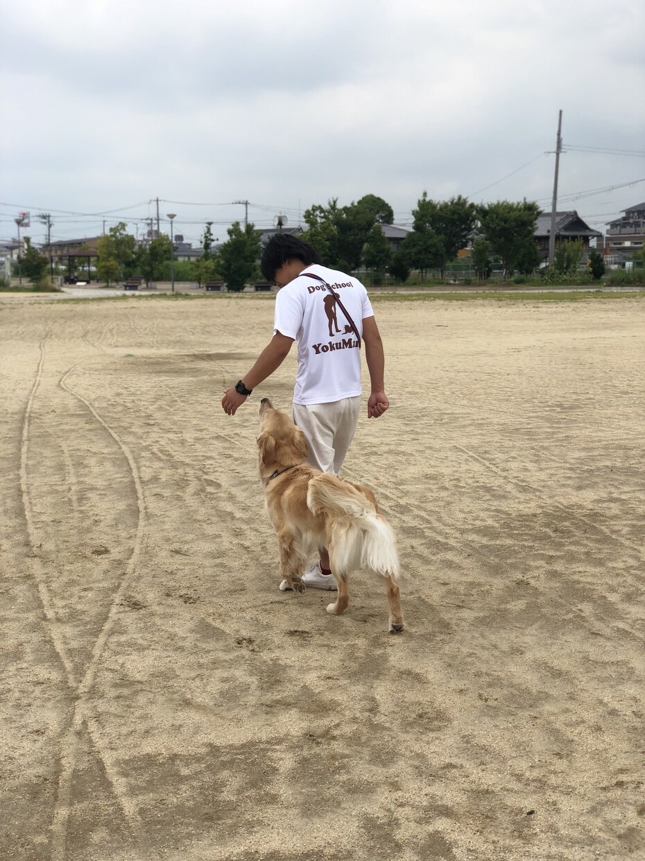 ドッグトレーナーが愛犬との向き合い方を教えます ワンちゃんについての悩みを解決しよう！ イメージ10