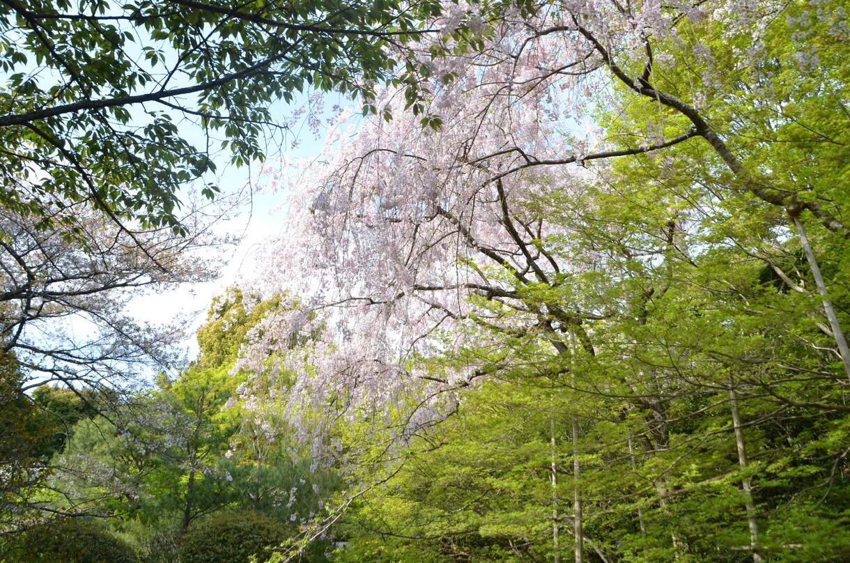 愚痴、雑談などお聞きします どんな事でもお話してください。 イメージ2