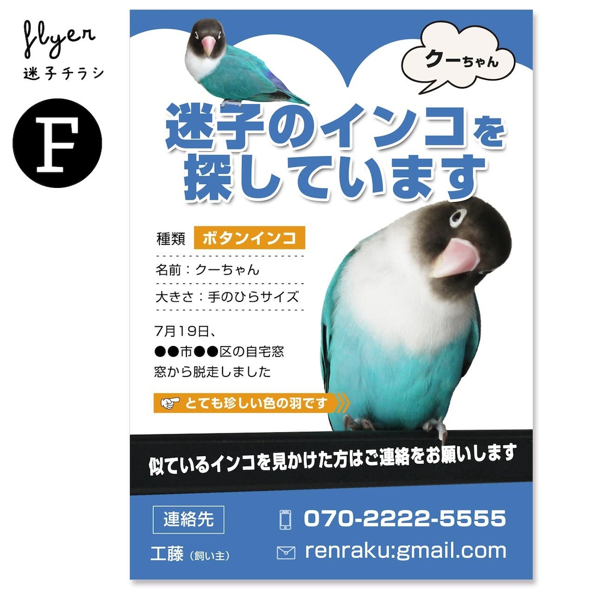 迷子チラシ（猫･犬･鳥など）をお作りします 最愛のお子さんを目立つようにデザインします イメージ9