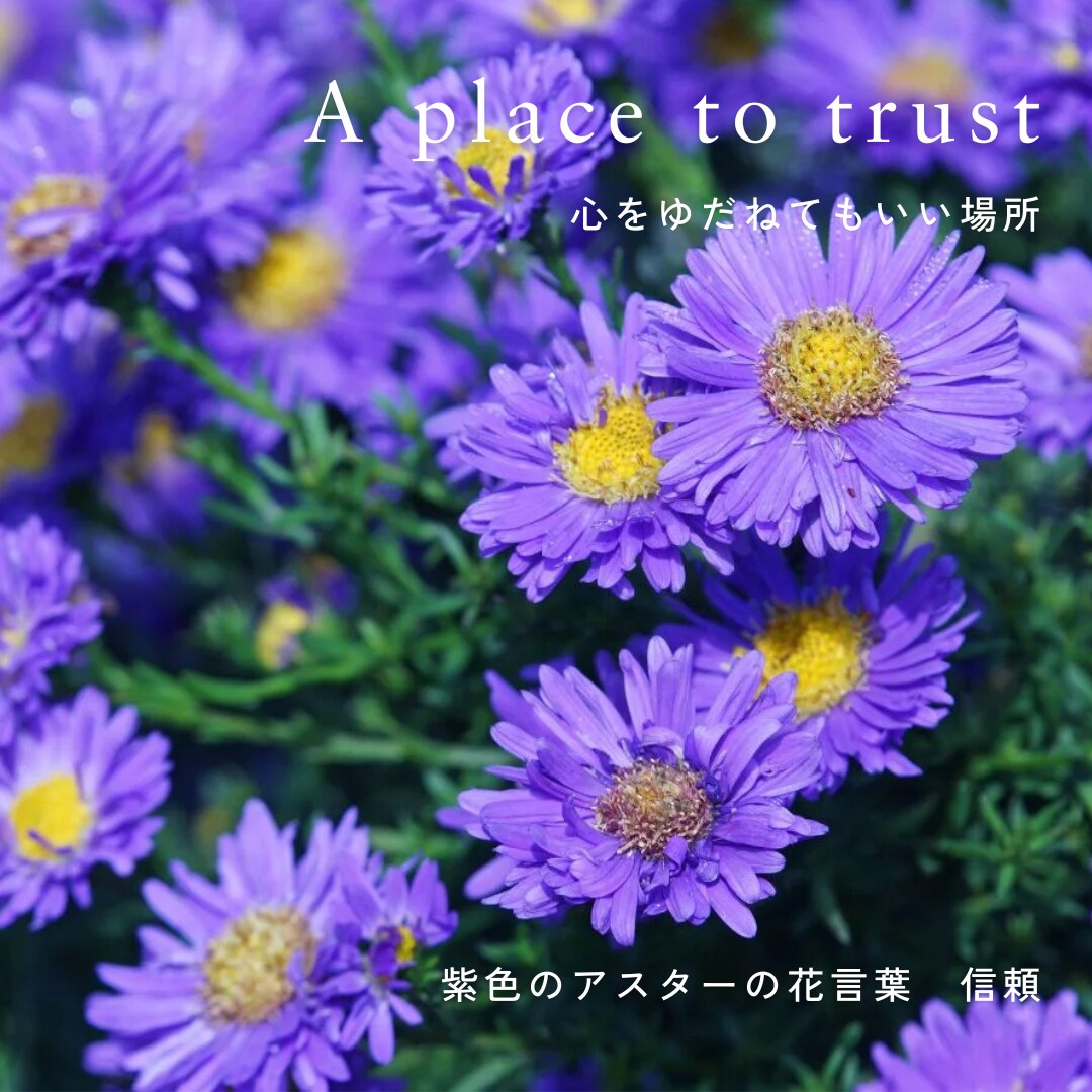 心からの共感あなたが前向きになる一歩を支えます ｜Embrace your story～あなたの人生を受容～ イメージ8