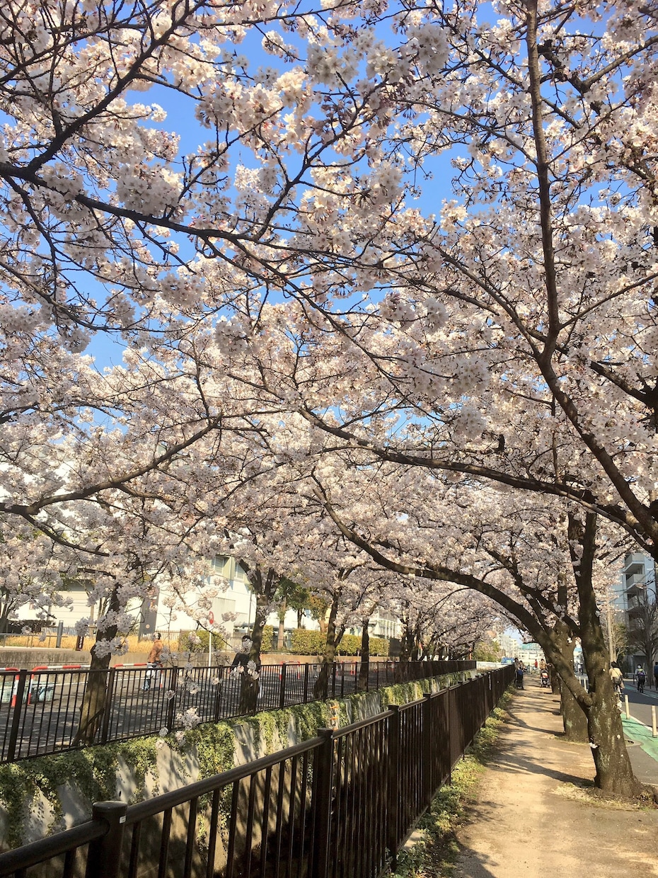 29歳(夫子あり)社会人歴8年目がお悩みききます ふ〜ん。と流されてしまうことでもなんでもどうぞ イメージ1