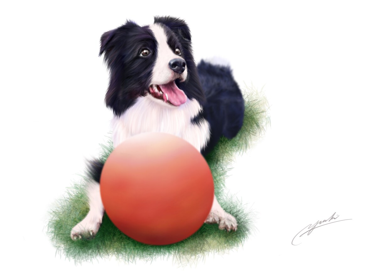 想いを乗せたイラストを描きます 飼い主さまの愛情をヒアリングし、イラストに生かします。 イメージ6