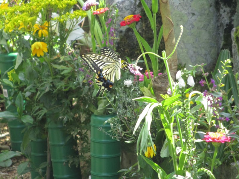 オンラインで京都のお墓掃除・お墓参り代行します 京都のお墓参りが難しい方のために心を込めてお参りいたします イメージ3