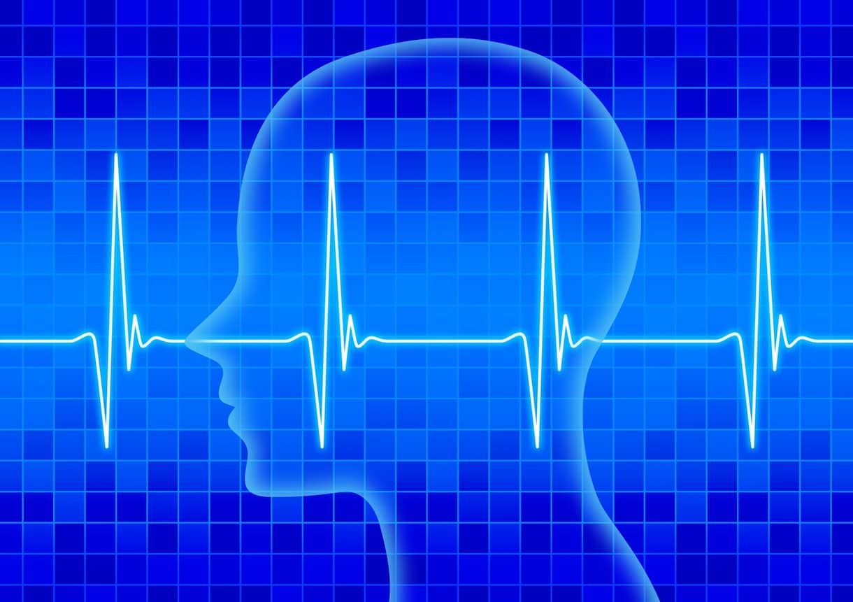 脳波やfMRIのデータ解析をお手伝いします 研究や脳科学プロジェクトのスタートアップなど イメージ1