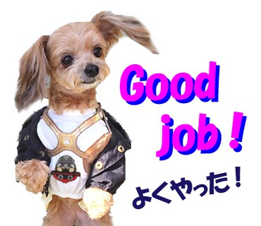 動画や静止画の編集をします 必要な所を繋ぎ合わせたり、音響や文字など入れられます。 イメージ9