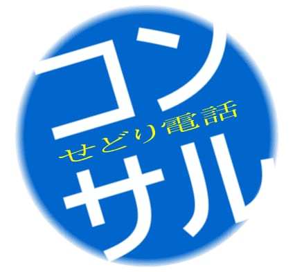 せどり（転売）についての相談をお聞きします せどり物販（その先のビジネス）に悩みや不安がありませんか？ イメージ1