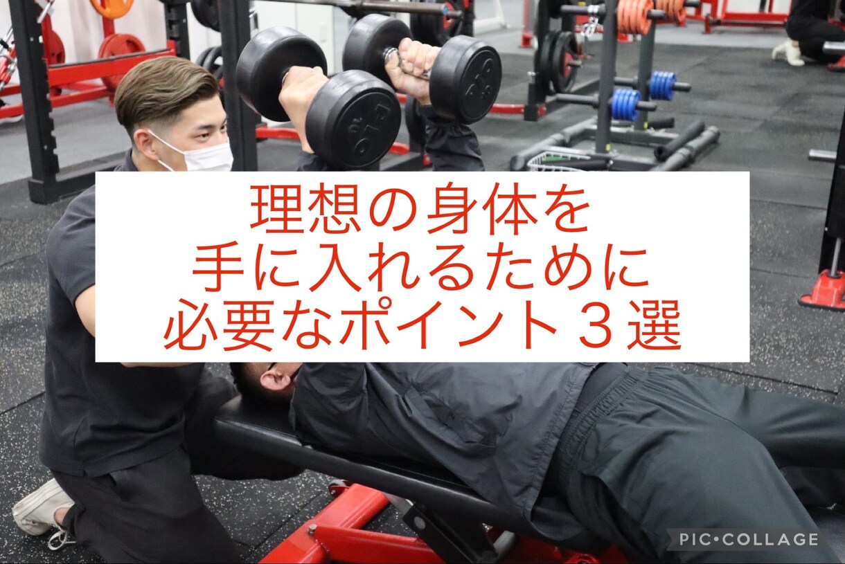 1週間密着！ダイエットサポートをします 現役トレーナーがあなたにあった方法でダイエットサポートします イメージ3