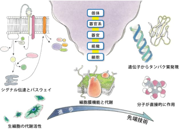 高校、受験生物を元医専プロ講師、現医学生が教えます 都内医学部専門予備校10年間勤務のプロ講師が受験生物を伝授 イメージ3