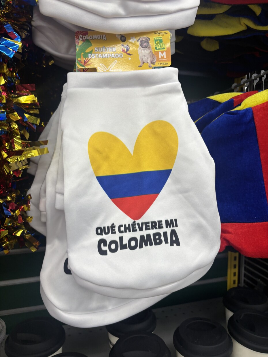 南米在住通訳が丁寧にスペイン語教えます 南米在住／日英西の通訳が、初心者〜上級者まで指導します。 イメージ1