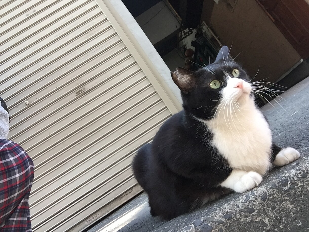 あなたの心の中の石ころ小さくします 心の何処かに引っかかるものがあるあなたへ イメージ3