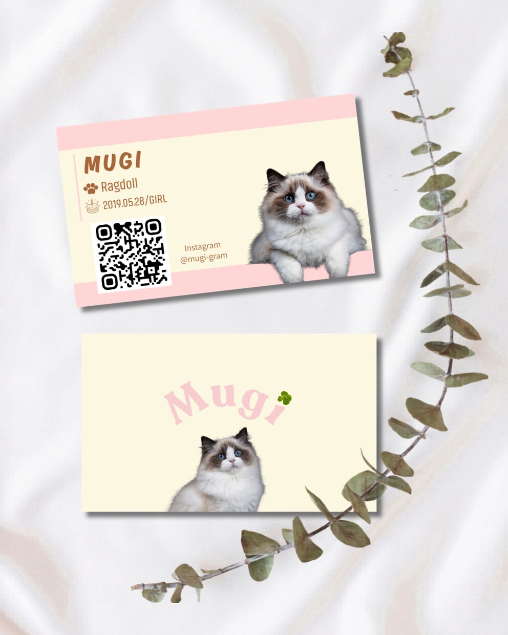かわいい”うちの子”名刺をお作りしてます ねこちゃん名刺！かわいいパステルバイカラー イメージ1