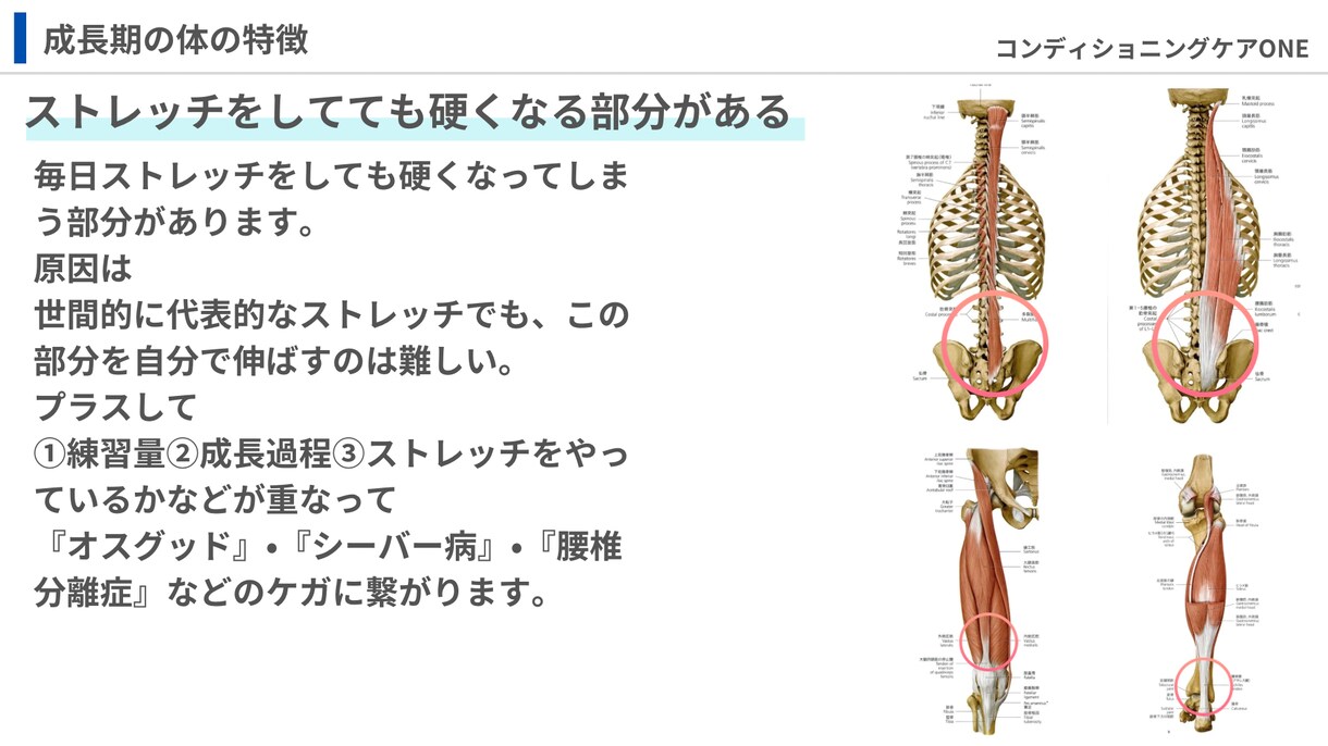 資料を用いて成長期の発達過程をお伝えします 成長期の伸び代を逃さない！アスリートキッズの親は絶対知って！ イメージ9